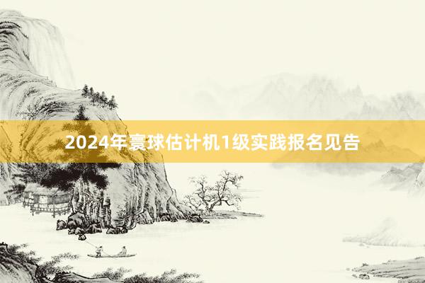 2024年寰球估计机1级实践报名见告