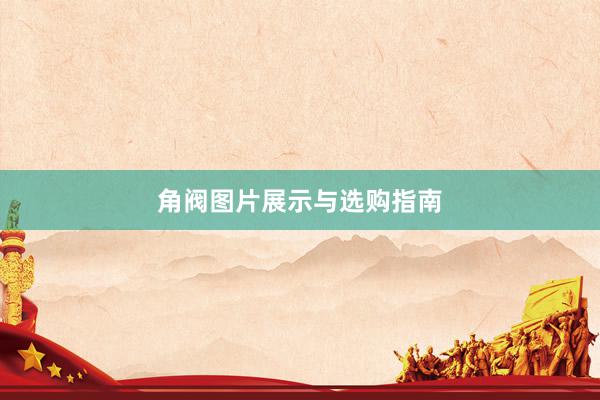 角阀图片展示与选购指南