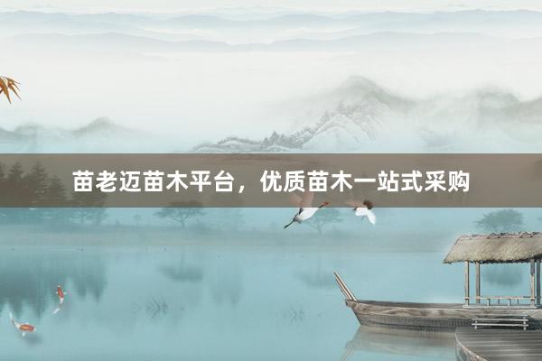 苗老迈苗木平台，优质苗木一站式采购