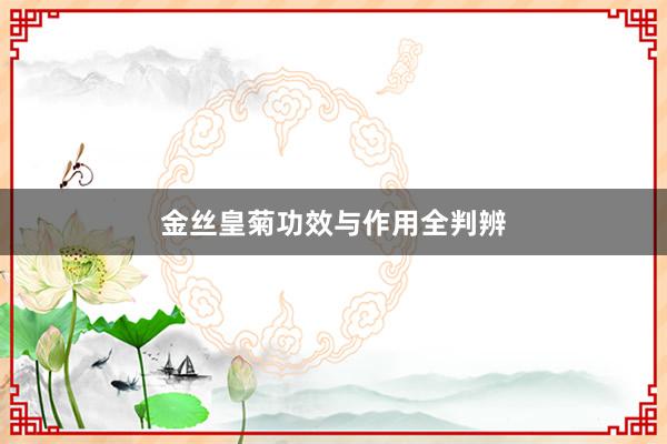 金丝皇菊功效与作用全判辨