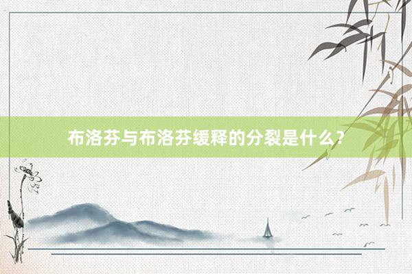 布洛芬与布洛芬缓释的分裂是什么？